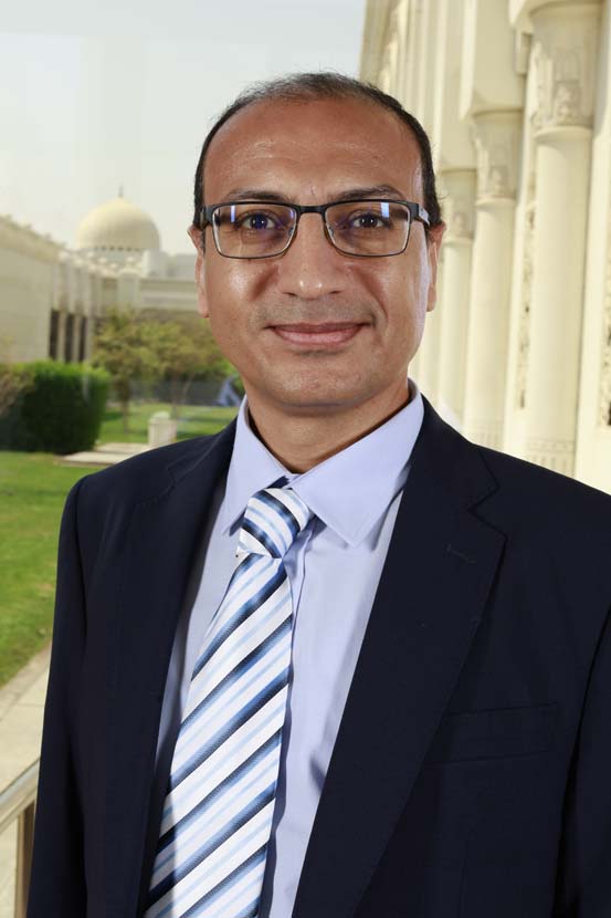 Prof. Hany Mohamed Hasanien Mohamed