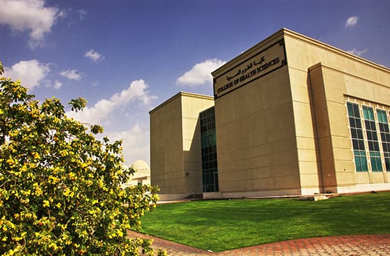 uos-A-02-06-2020