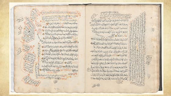 uos-a-17-11-2020