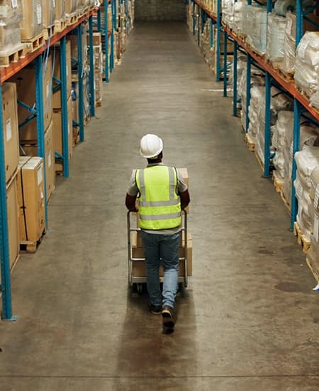 Procurement and Supply Chain