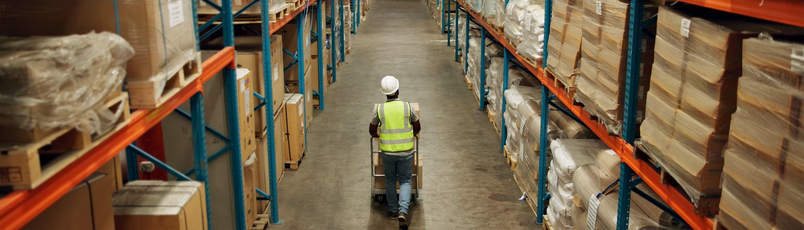 Procurement and Supply Chain