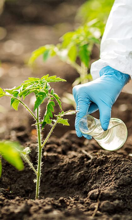 sustainability-research