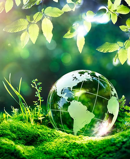 Environmental Health Sciences