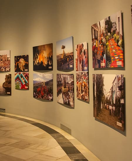 Museum Studies and Art History