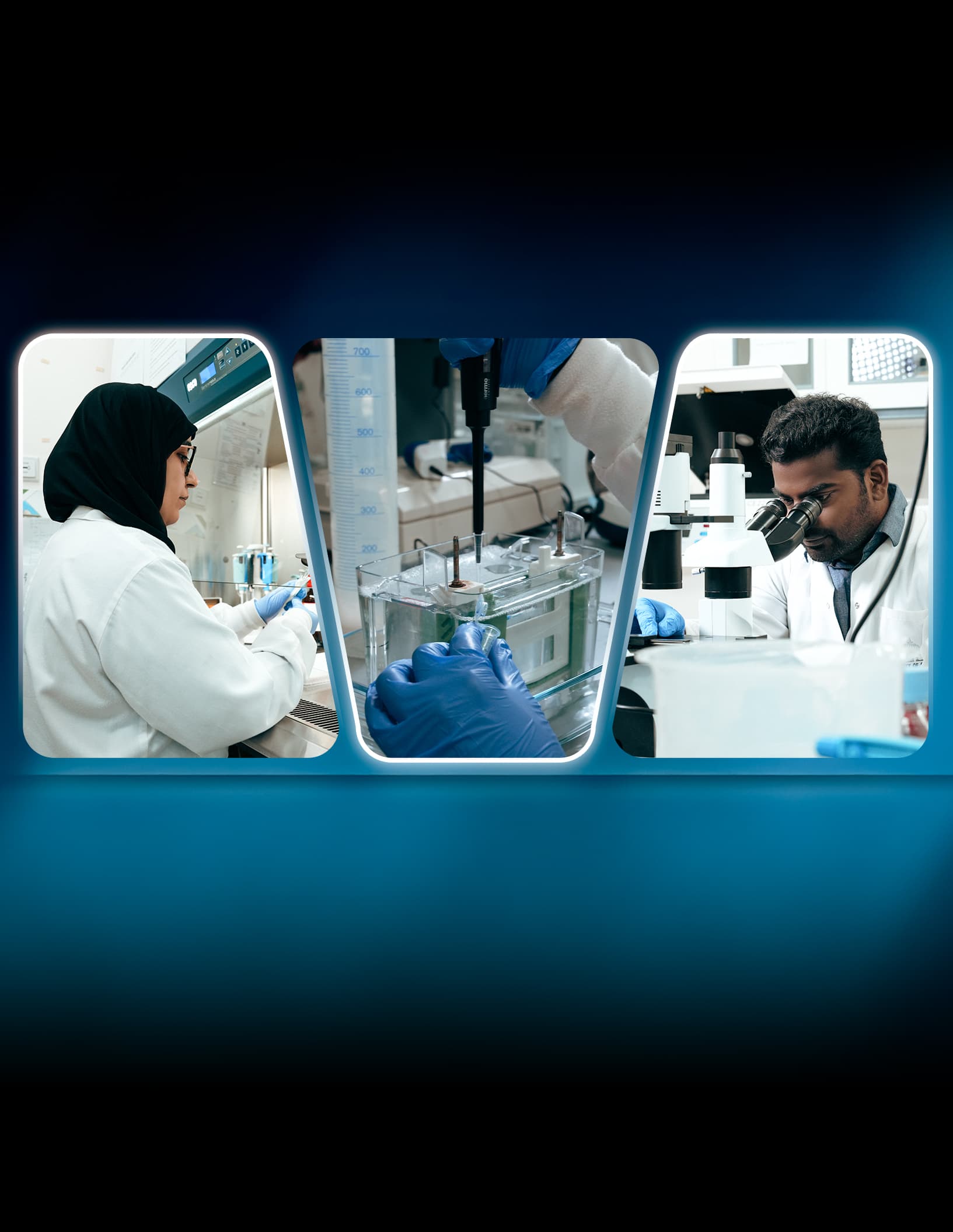 Rimhs Research Institute of Medical and Health Sciences